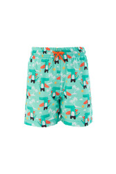 Neopy - Marine Shorts Dinosaur Boy Child Baby Remsa Swimwear Marlin 12 S111 Mint