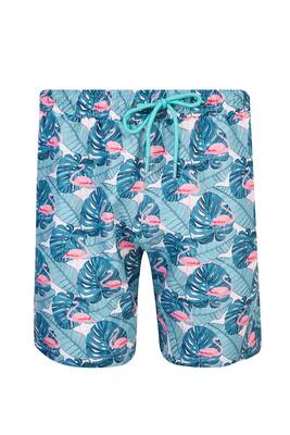 Lapieno - Men's Ocean Pool Shorts Patterned Caleb S241 Mint Lapieno - Men's Ocean Pool Shorts Patterned Caleb S241 Mint