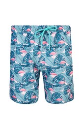 Lapieno - Men's Ocean Pool Shorts Patterned Caleb S241 Mint