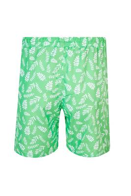 Lapieno - Men's Ocean Pool Shorts Patterned Ford S253 Green (1) Lapieno - Men's Ocean Pool Shorts Patterned Ford S253 Green (1)
