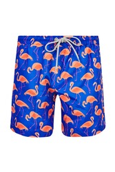 Lapieno - Men's Ocean Pool Shorts Patterned Kane S247 Sky Blue