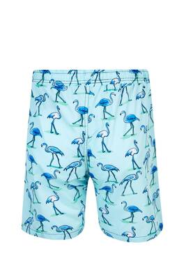 Lapieno - Men's Ocean Pool Shorts Patterned Percy S250 Mint (1) Lapieno - Men's Ocean Pool Shorts Patterned Percy S250 Mint (1)