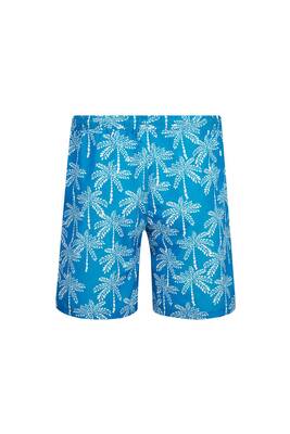 Lapieno - Patterned Men's Swim Shorts Ctale S274 Blue (1) Lapieno - Patterned Men's Swim Shorts Ctale S274 Blue (1)